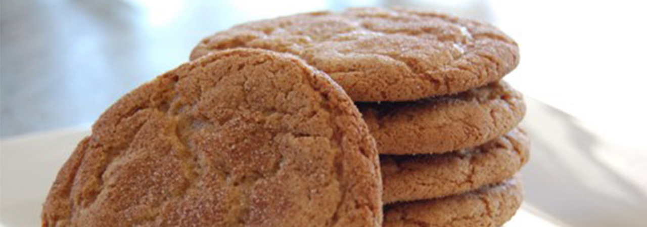 Snickerdoodle Greek Yogurt Cookies